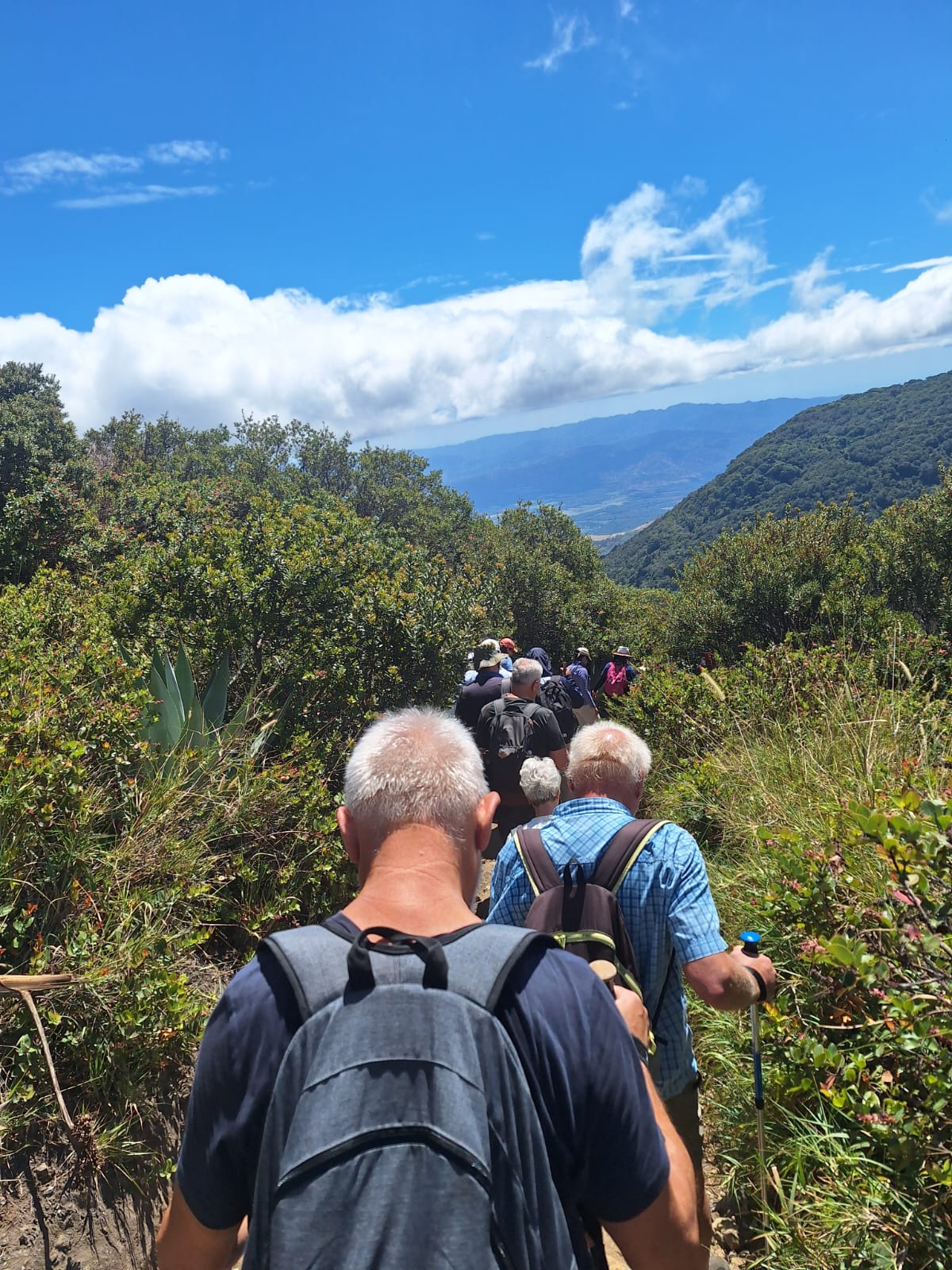 Ruta de los Volcanes – Entre Fuego y Cielo - Imagen 6