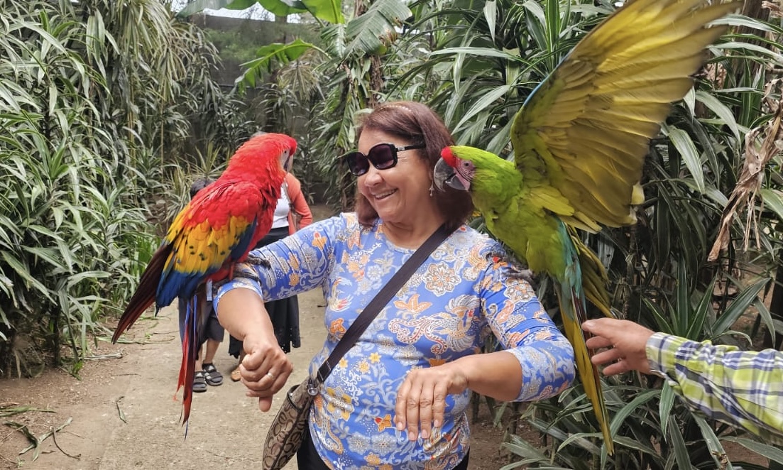 Ruta de las Flores – Magia entre Colores y Sabores - Imagen 7