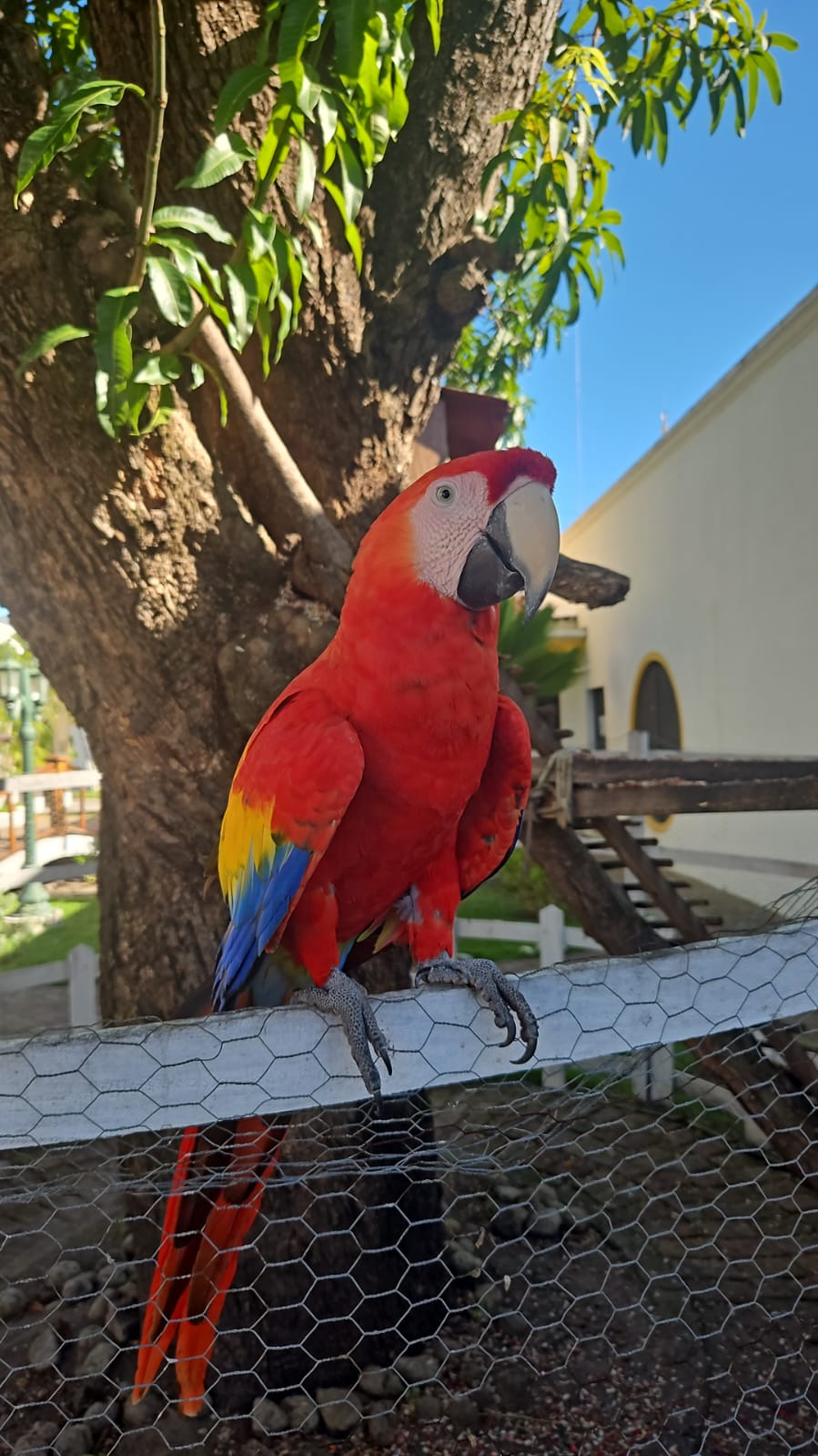 Ruta de las Flores – Magia entre Colores y Sabores - Imagen 5